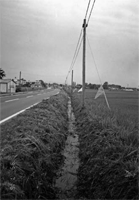 延々と続く土水路